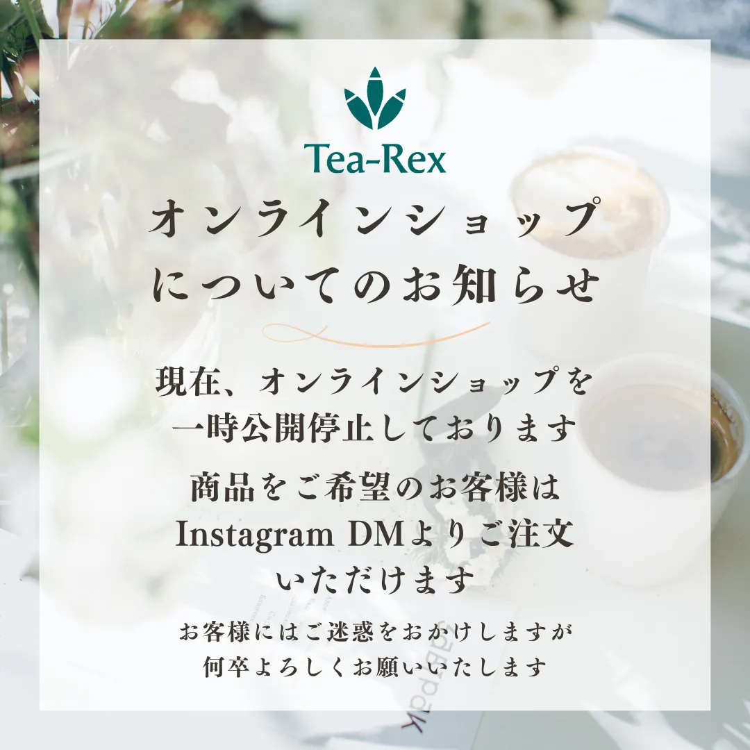 【💻️オンラインショップ一時公開停止についてのお知らせ🦖】